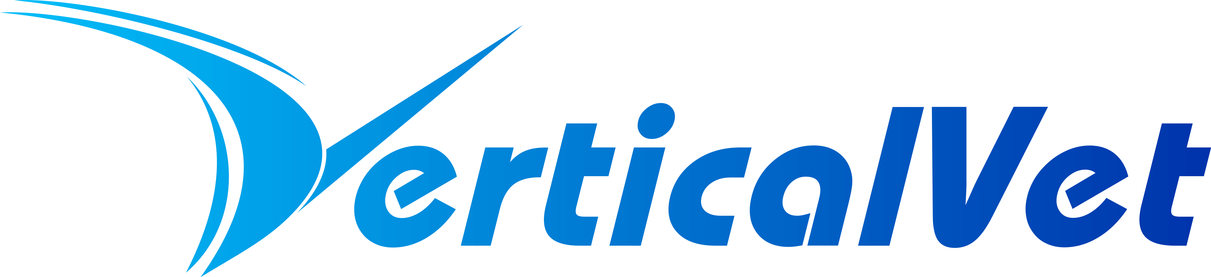 Vertical Vet Veterinary Medical Group