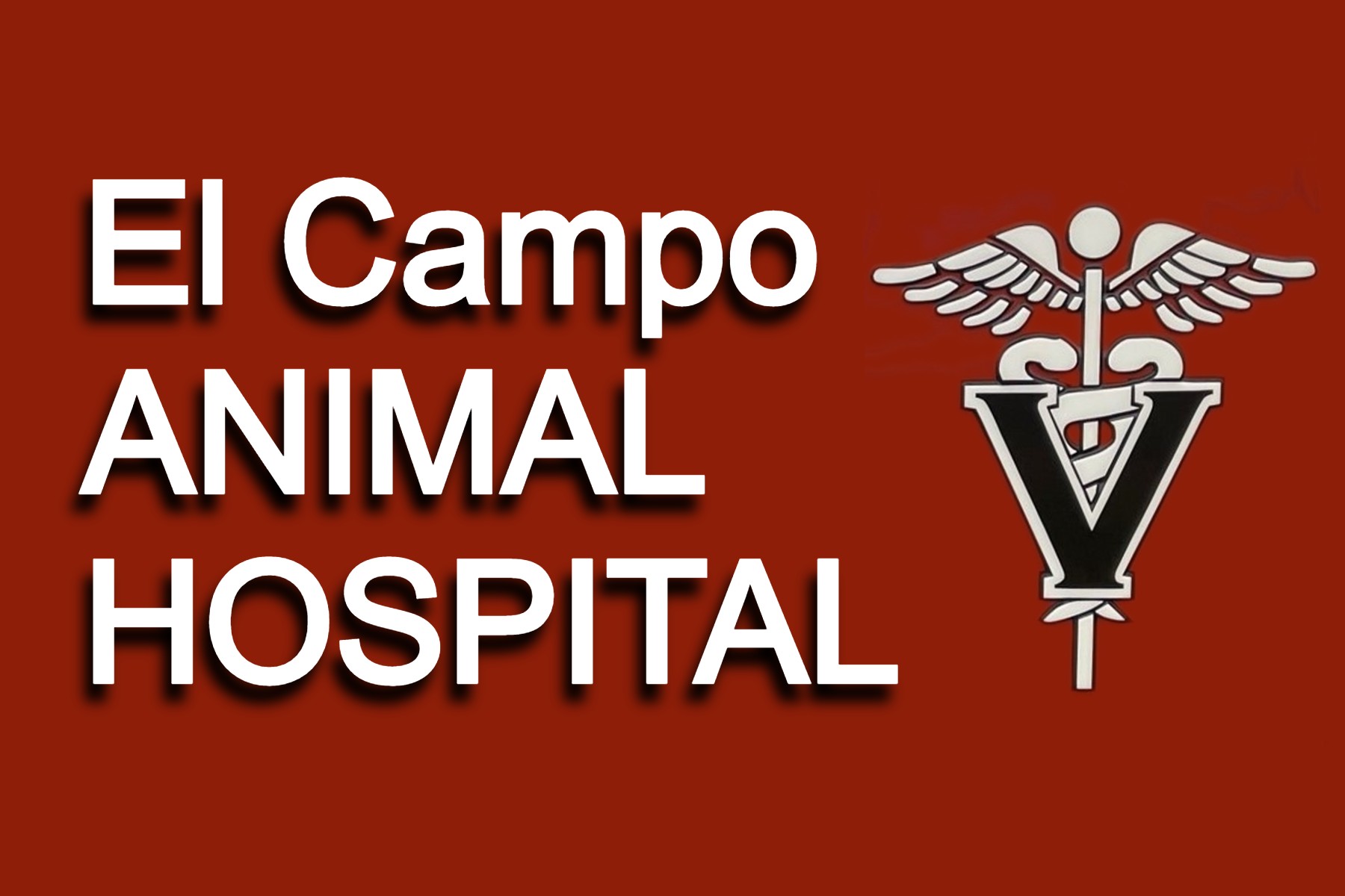 El Campo Animal Hospital 